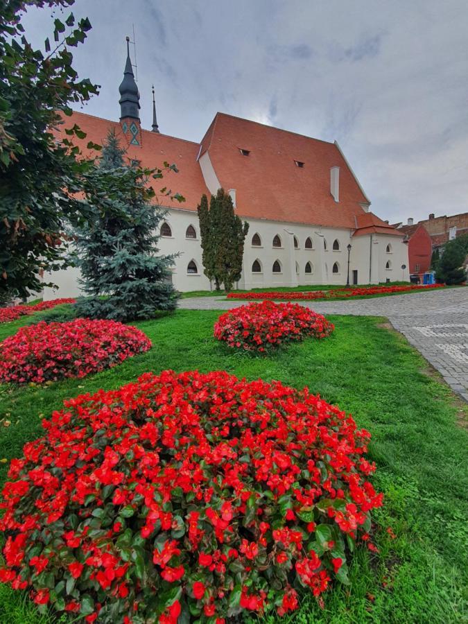 Via Transilvanica Sighisoara Hotel Eksteriør billede